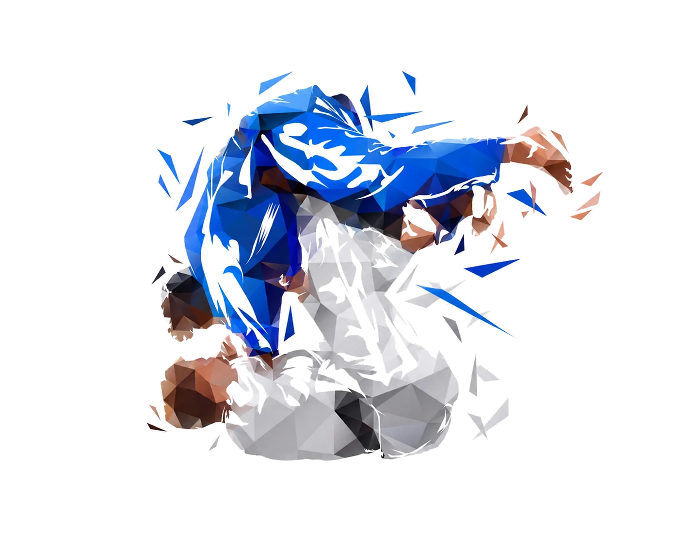 Judokas — projection, illustration low-poly
