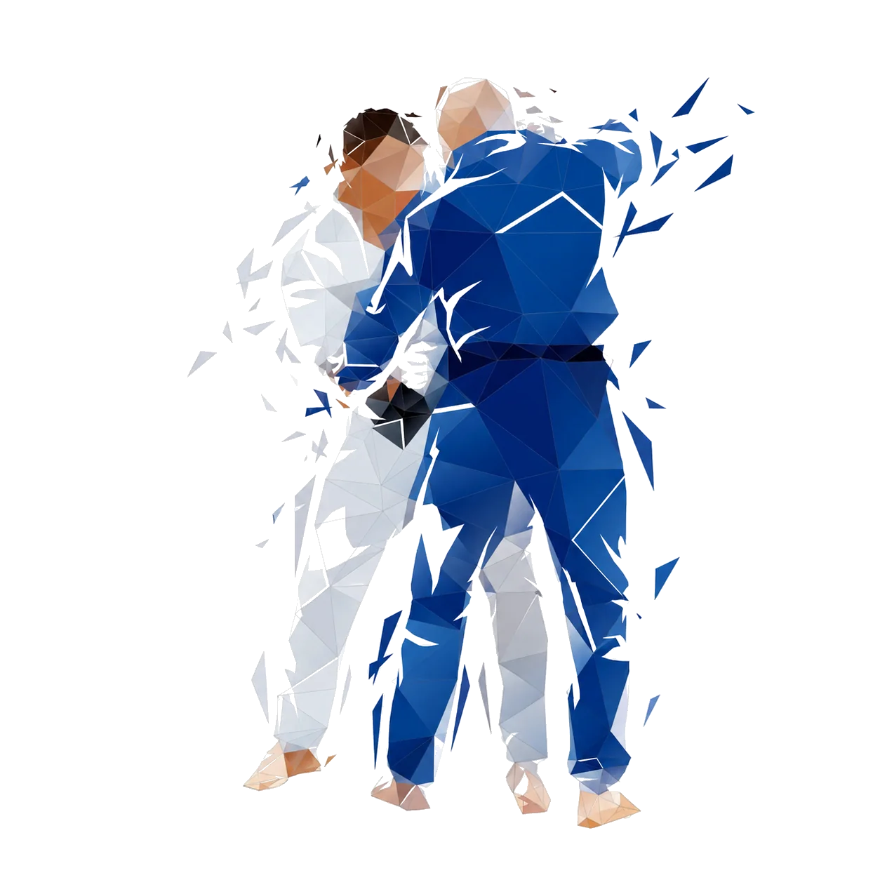 Judokas — illustration low-poly